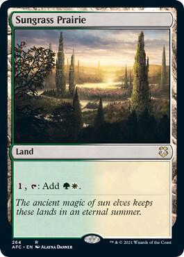 Sungrass Prairie 264 (Commander: Adventures in the Forgotten Realms)  | Good Games Adelaide SA