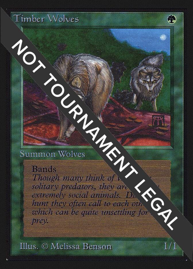 Timber Wolves IE  (International Edition)  | Good Games Adelaide SA