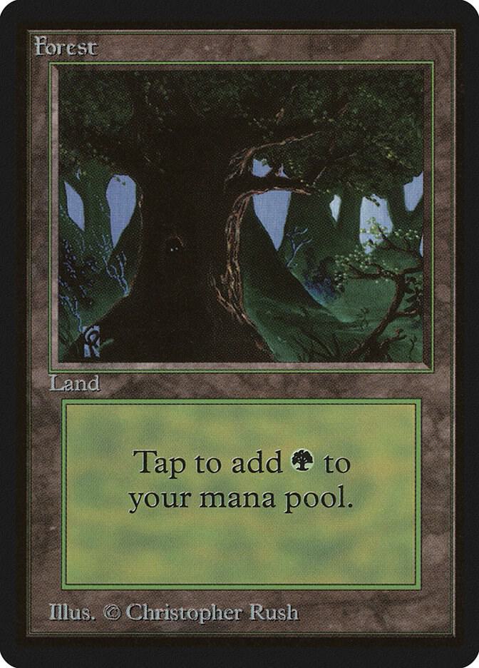 Forest C  (Beta Edition)  | Good Games Adelaide SA