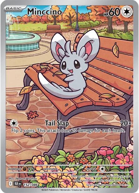 Minccino (152/086) [Scarlet & Violet: Black Bolt] | Good Games Adelaide SA