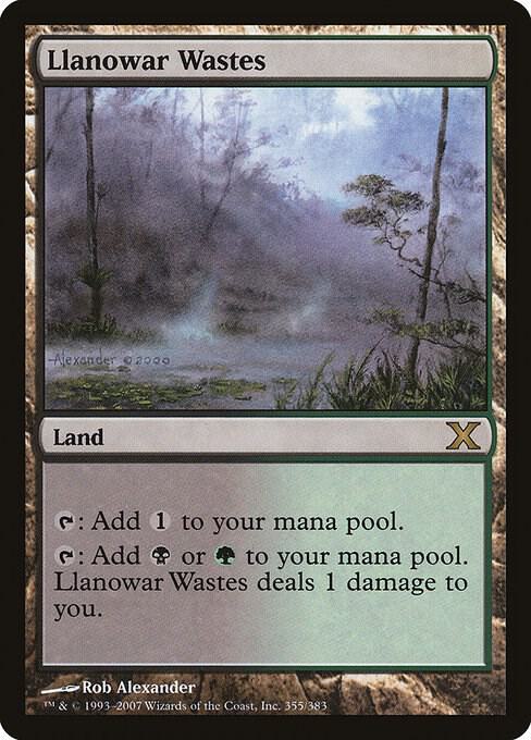 Llanowar Wastes 355 (10th Edition)  - Foil | Good Games Adelaide SA