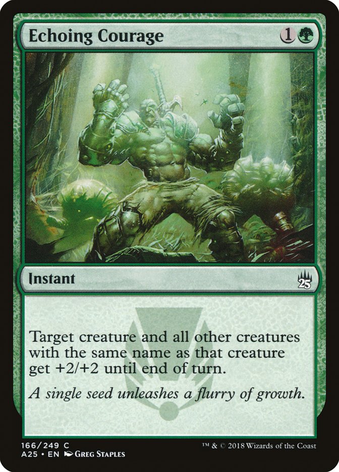 Echoing Courage 166 (Masters 25)  - Foil | Good Games Adelaide SA