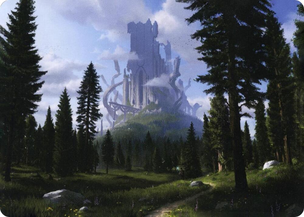 Forest 61 81 Art Card 61 (Art Series: Adventures in the Forgotten Realms)  | Good Games Adelaide SA
