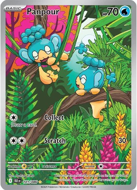 Panpour 101/086 (SV: Black Bolt)  - Holofoil | Good Games Adelaide SA