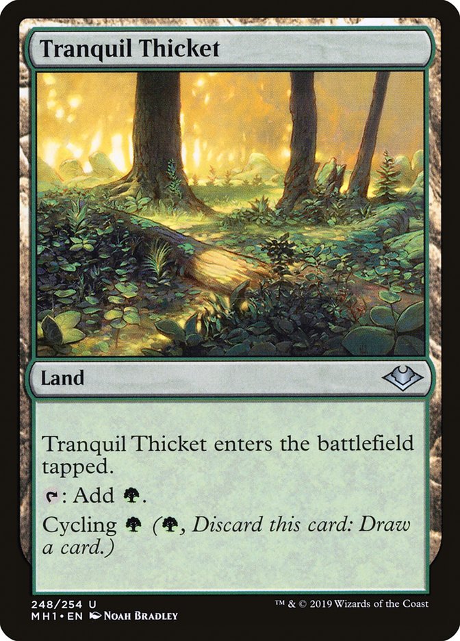 Tranquil Thicket [Modern Horizons] | Good Games Adelaide SA