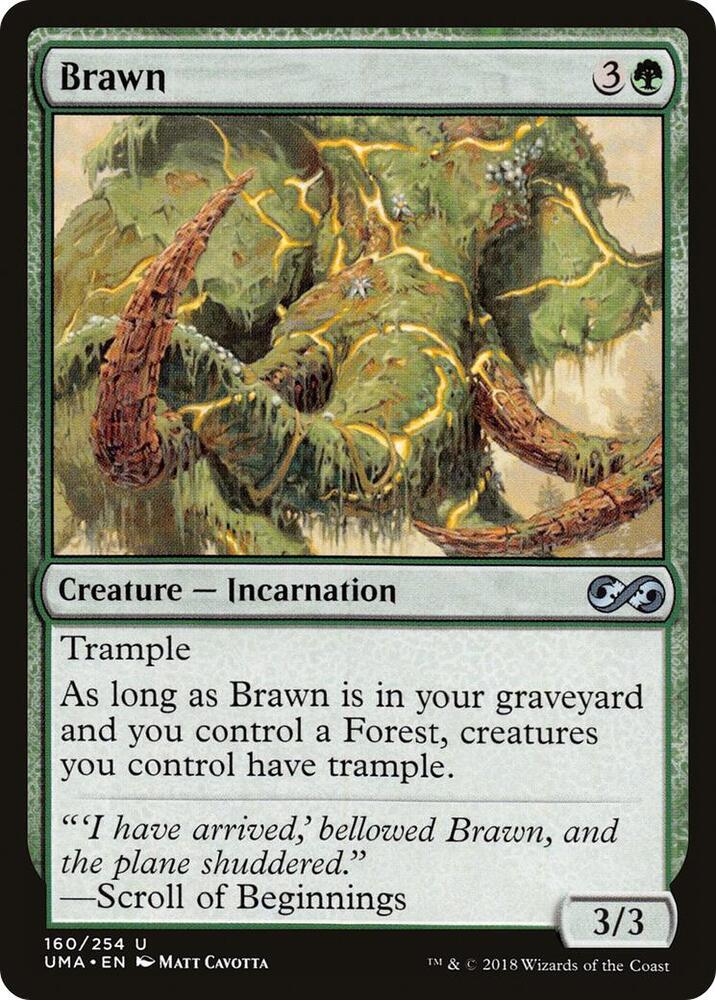 Brawn 160 (Ultimate Masters)  | Good Games Adelaide SA