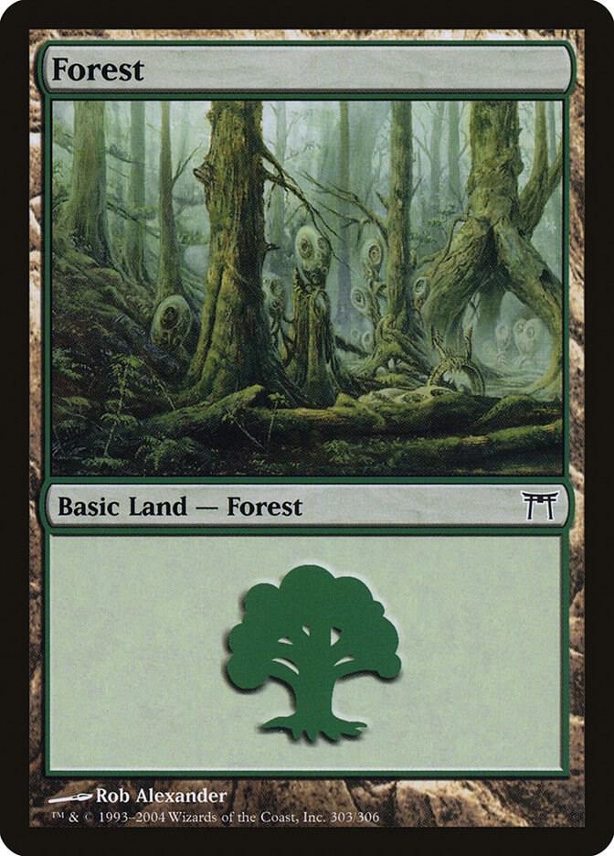 Forest 303 (Champions of Kamigawa)  | Good Games Adelaide SA