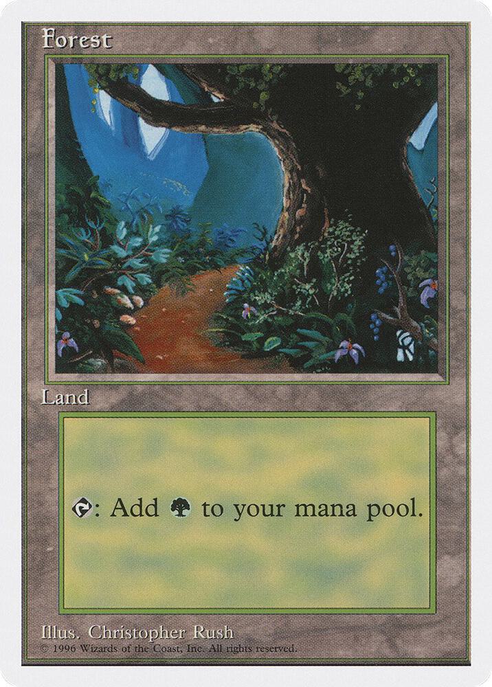Forest B 66 (Introductory Two-Player Set)  | Good Games Adelaide SA