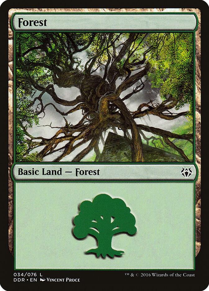 Forest 034 34 (Duel Decks: Nissa vs. Ob Nixilis)  | Good Games Adelaide SA