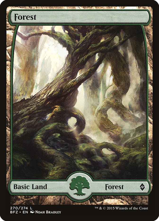 Forest (270) - Full Art [Battle for Zendikar] | Good Games Adelaide SA