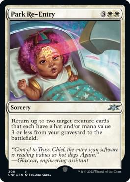 Park Re Entry Galaxy Foil 308 (Unfinity)  - Foil | Good Games Adelaide SA