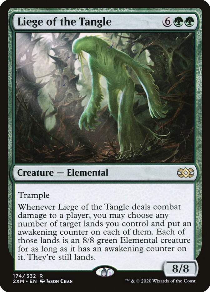 Liege of the Tangle 174 (Double Masters)  | Good Games Adelaide SA