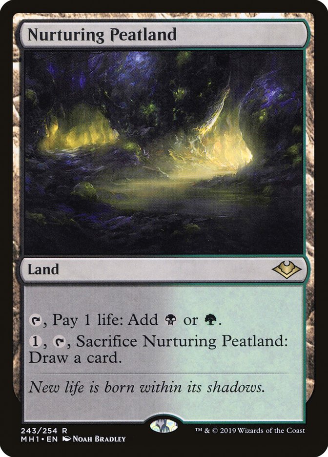 Nurturing Peatland 243 (Modern Horizons)  - Foil | Good Games Adelaide SA