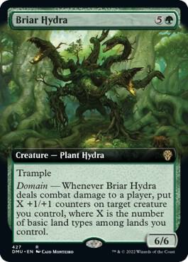 Briar Hydra Extended Art 427 (Dominaria United)  | Good Games Adelaide SA