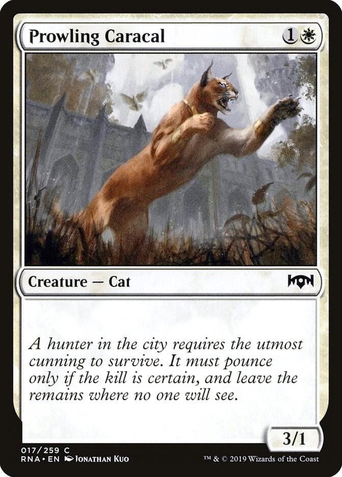Prowling Caracal 17 (Ravnica Allegiance)  | Good Games Adelaide SA
