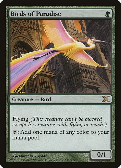 Birds of Paradise 252 (10th Edition)  | Good Games Adelaide SA