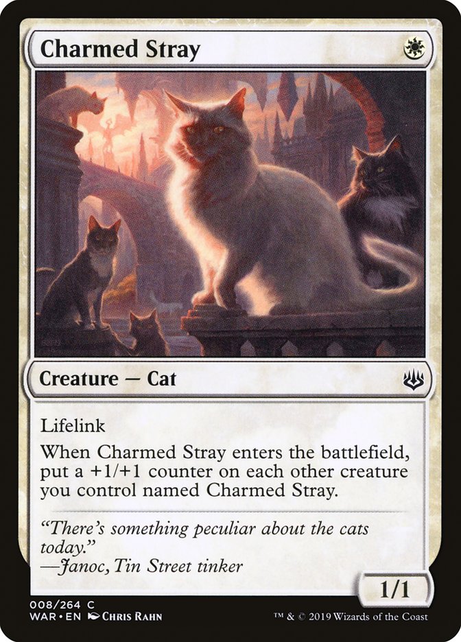 Charmed Stray 8 (War of the Spark)  | Good Games Adelaide SA