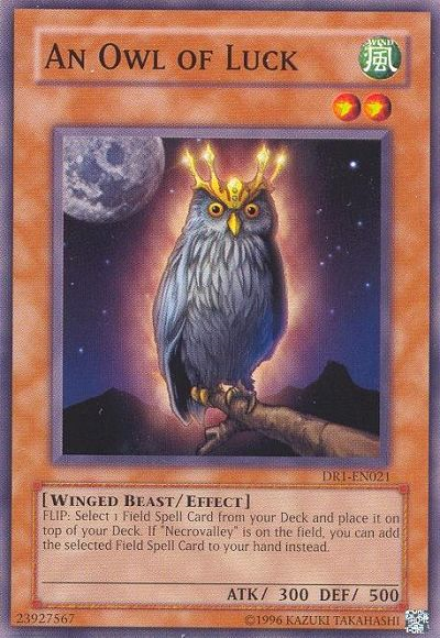 An Owl of Luck [DR1-EN021] Common | Good Games Adelaide SA