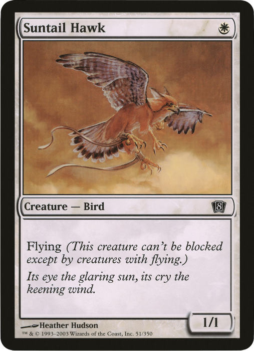 Suntail Hawk (Oversized) [Eighth Edition Box Topper] | Good Games Adelaide SA