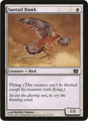 Suntail Hawk (Oversized) [Eighth Edition Box Topper] | Good Games Adelaide SA