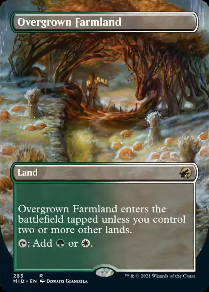 Overgrown Farmland (Borderless) [Innistrad: Midnight Hunt] | Good Games Adelaide SA