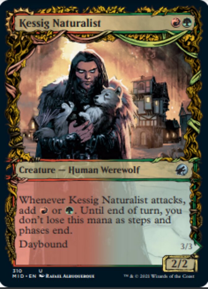 Kessig Naturalist // Lord of the Ulvenwald (Showcase Equinox) [Innistrad: Midnight Hunt] | Good Games Adelaide SA