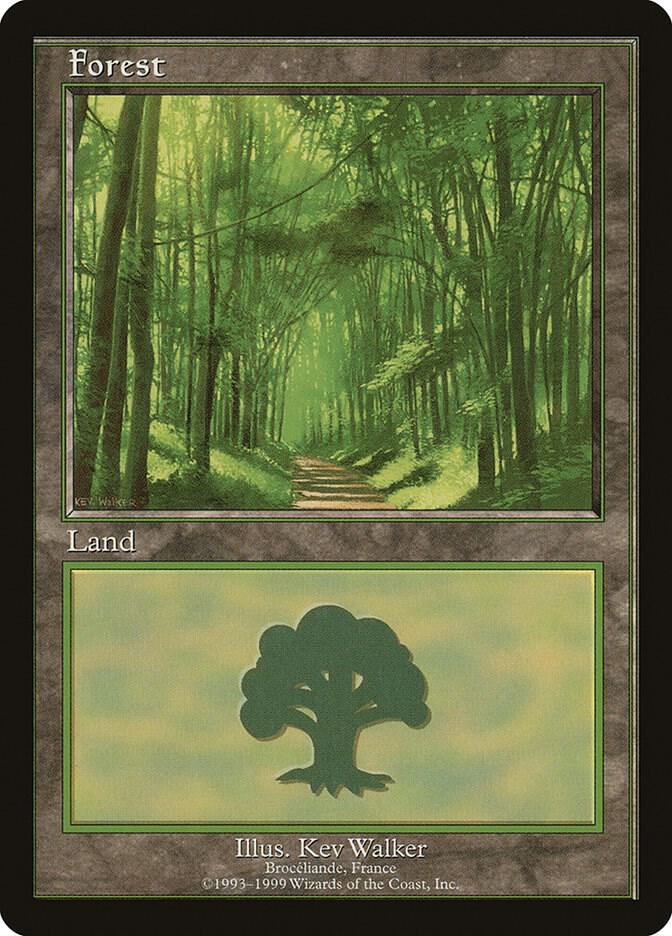 Forest Broceliande 6 (European Lands)  | Good Games Adelaide SA