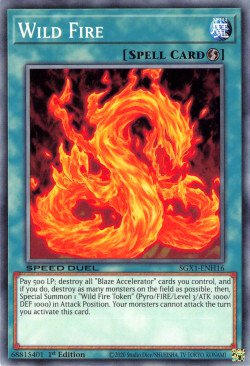 Wild Fire [SGX1-ENH16] Common | Good Games Adelaide SA