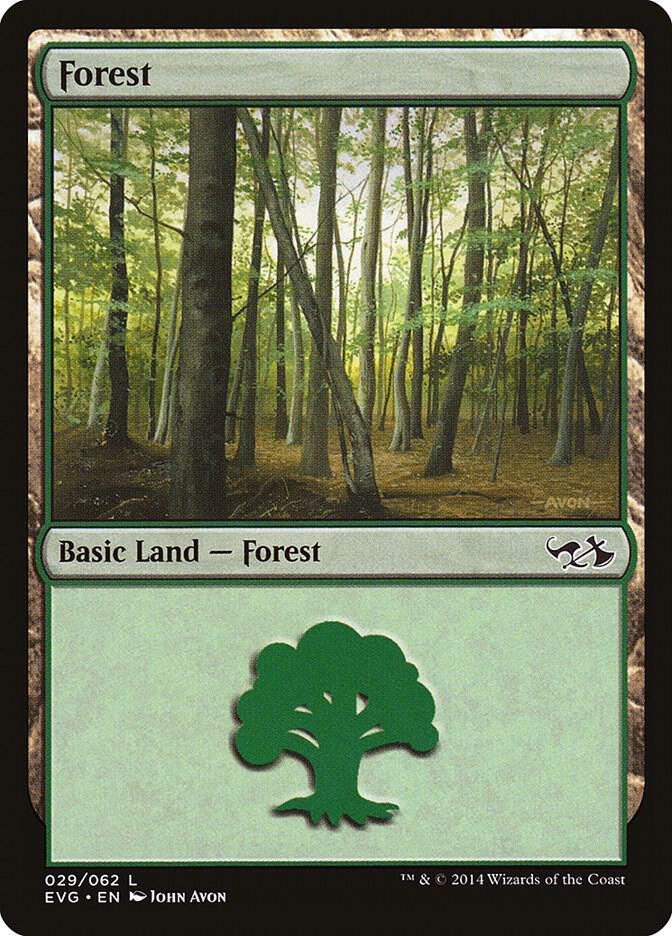 Forest 029 EVG 29 (Duel Decks: Anthology)  | Good Games Adelaide SA