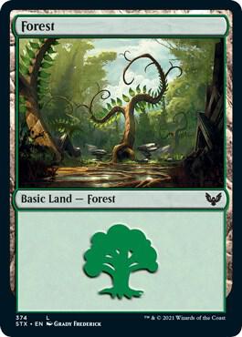 Forest 374 374 (Strixhaven: School of Mages)  | Good Games Adelaide SA