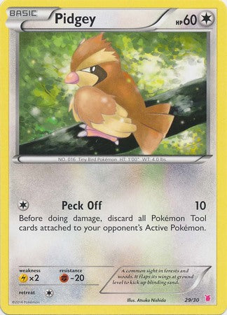 Pidgey (29/30) [XY: Trainer Kit 1 - Wigglytuff] | Good Games Adelaide SA
