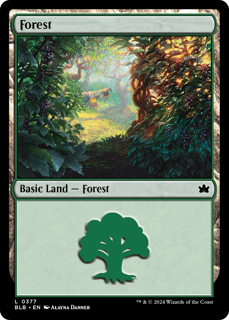 Forest (0377) [Bloomburrow] | Good Games Adelaide SA