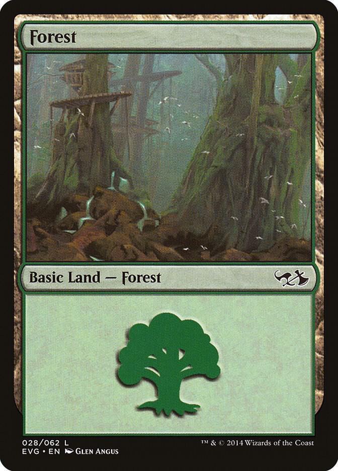 Forest 028 EVG 28 (Duel Decks: Anthology)  | Good Games Adelaide SA