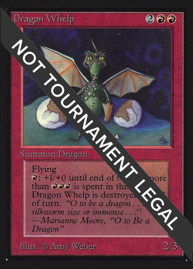 Dragon Whelp IE  (International Edition)  | Good Games Adelaide SA