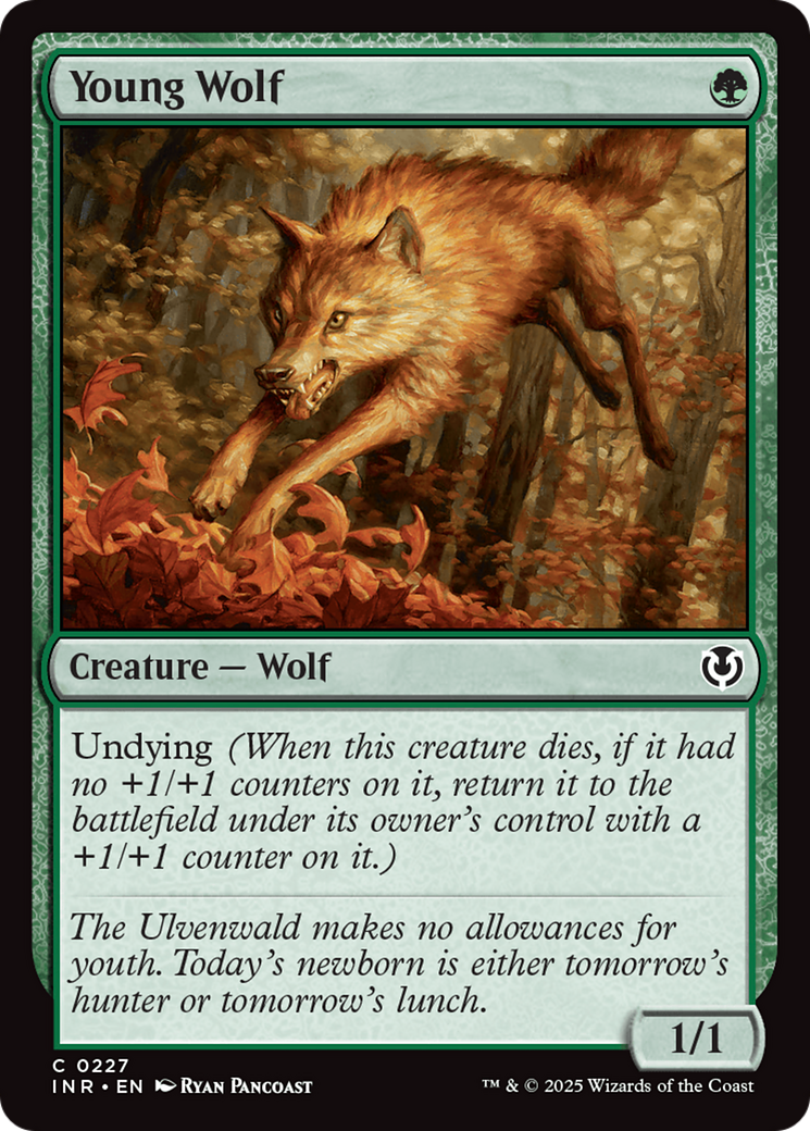 Young Wolf [Innistrad Remastered] | Good Games Adelaide SA