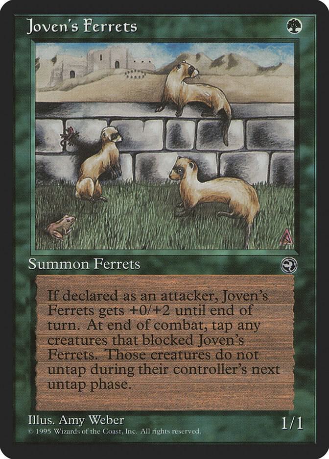 Joven's Ferrets  (Homelands)  | Good Games Adelaide SA