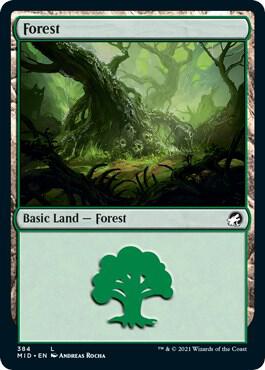 Forest 384 384 (Innistrad: Midnight Hunt)  - Foil | Good Games Adelaide SA