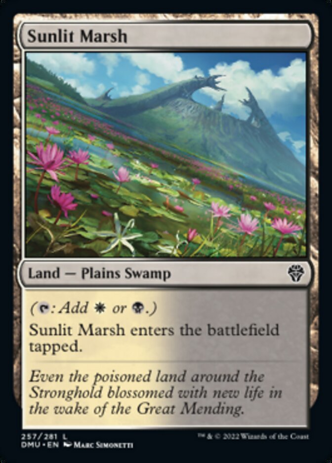 Sunlit Marsh [Dominaria United] | Good Games Adelaide SA