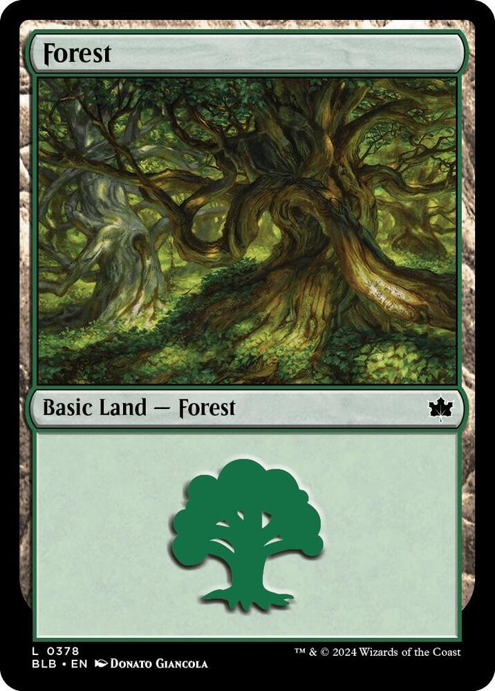 Forest 0378 378 (Bloomburrow)  | Good Games Adelaide SA