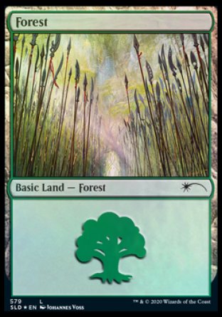 Forest (Elves) (579) [Secret Lair Drop Promos] | Good Games Adelaide SA
