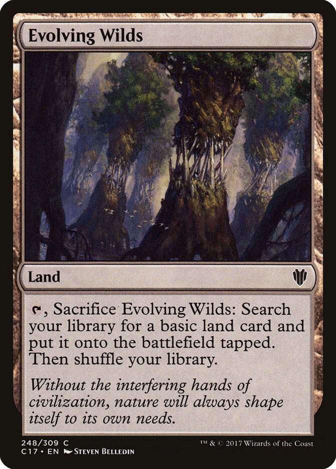 Evolving Wilds 248 (Commander 2017)  | Good Games Adelaide SA