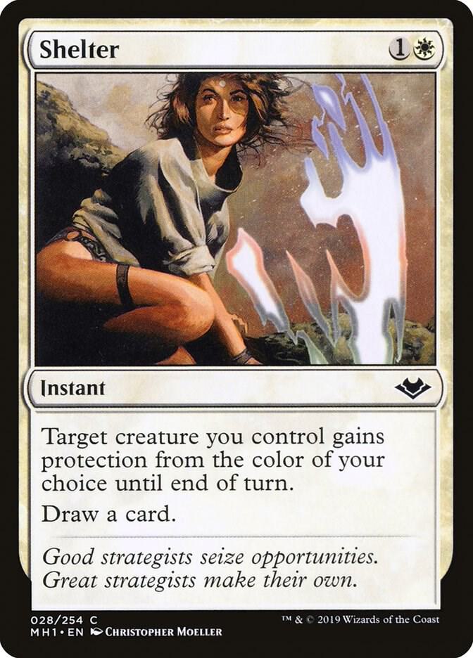 Shelter 28 (Modern Horizons)  - Foil | Good Games Adelaide SA