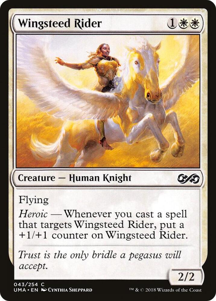 Wingsteed Rider 43 (Ultimate Masters)  | Good Games Adelaide SA