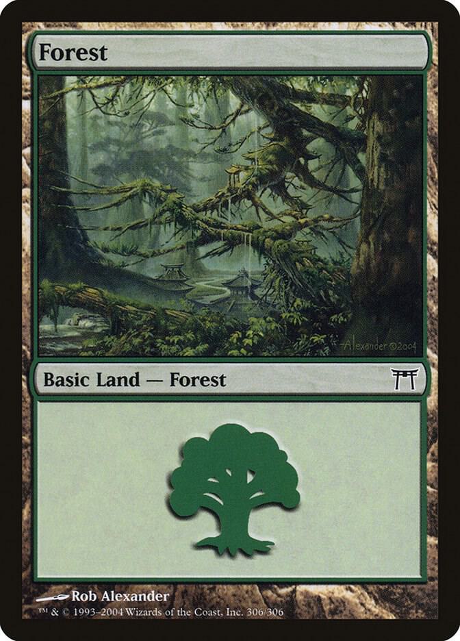 Forest 306 (Champions of Kamigawa)  - Foil | Good Games Adelaide SA