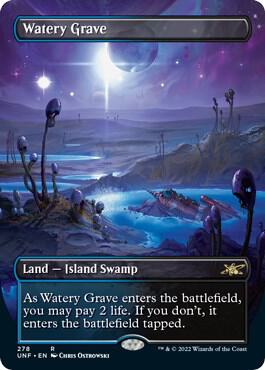 Watery Grave Borderless 278 (Unfinity)  - Foil | Good Games Adelaide SA