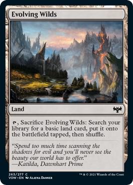 Evolving Wilds 263 (Innistrad: Crimson Vow)  - Foil | Good Games Adelaide SA