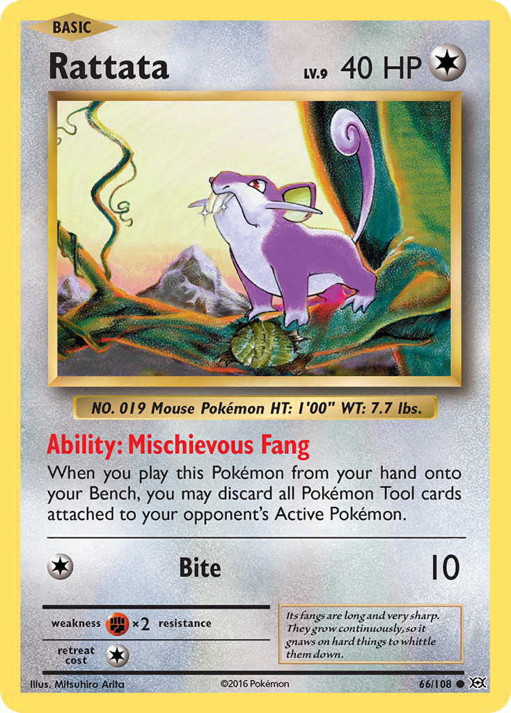 Rattata (66/108) [XY: Evolutions] | Good Games Adelaide SA