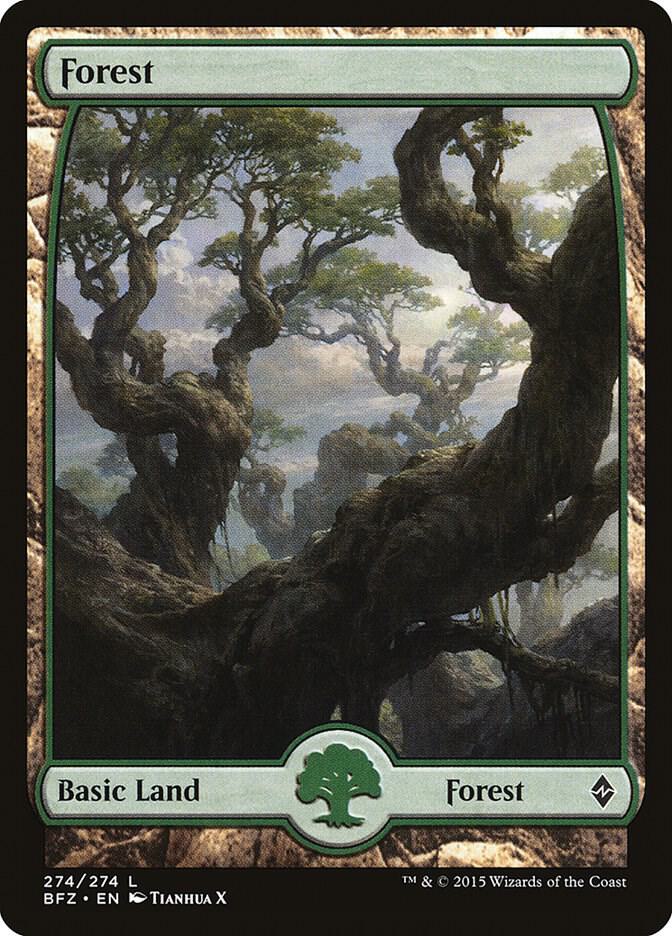 Forest 274 Full Art 274 (Battle for Zendikar)  - Foil | Good Games Adelaide SA