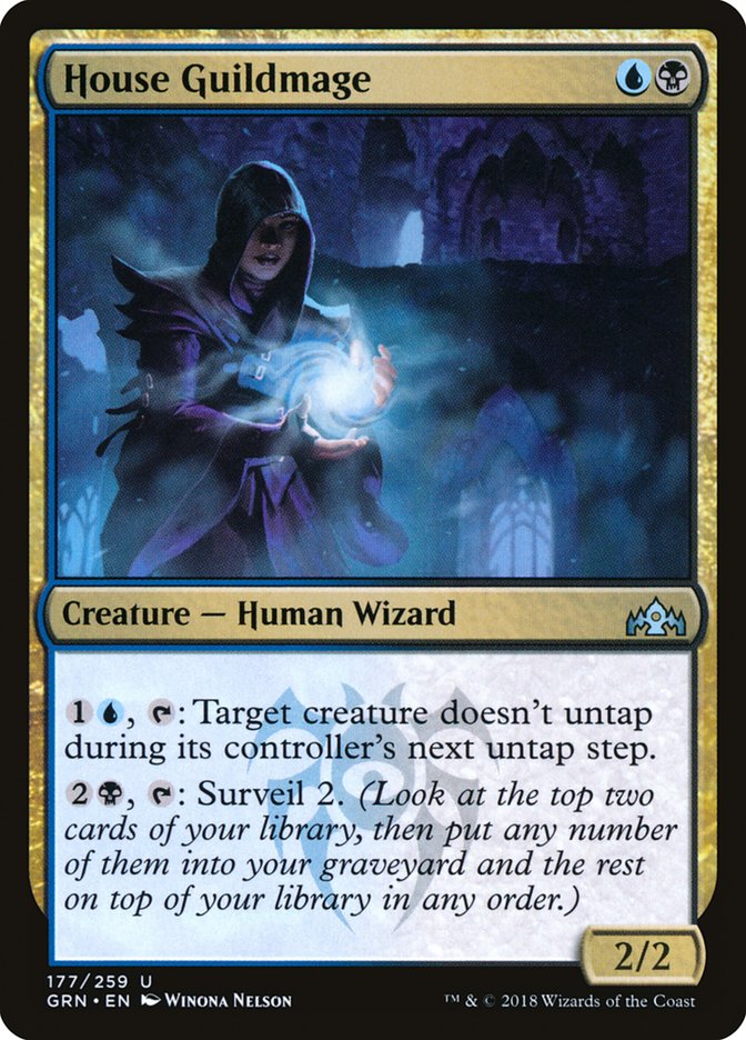 House Guildmage 177 (Guilds of Ravnica)  - Foil | Good Games Adelaide SA