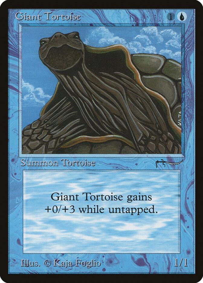 Giant Tortoise  (Arabian Nights)  | Good Games Adelaide SA
